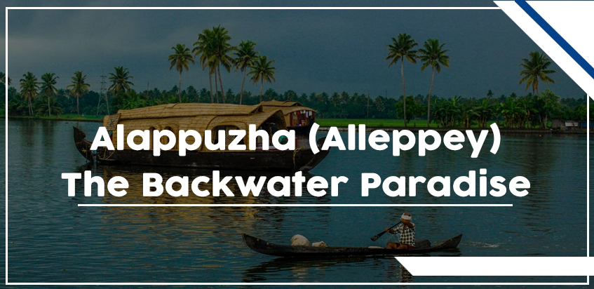 Alappuzha (Alleppey) – The Backwater Paradise