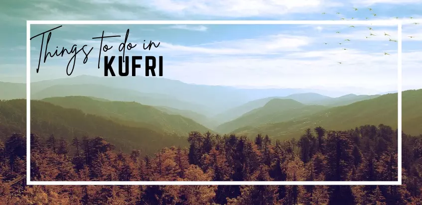 8 Best Tourist Activities To Do In Kufri