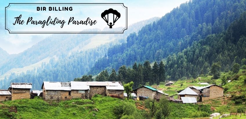 Paragliding in Bir Billing