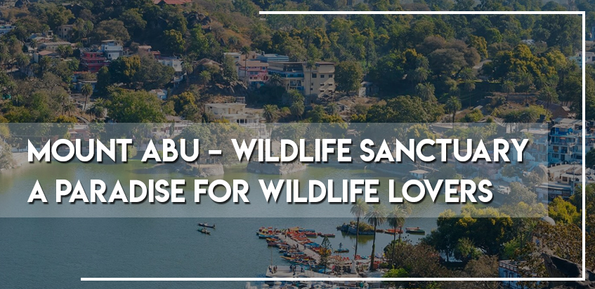 Mount Abu - Wildlife Sanctuary - A Paradise For Wildlife Lovers