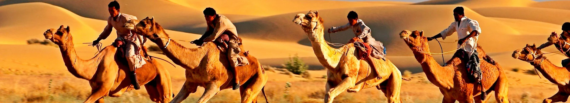 Rajasthan Tour Packages