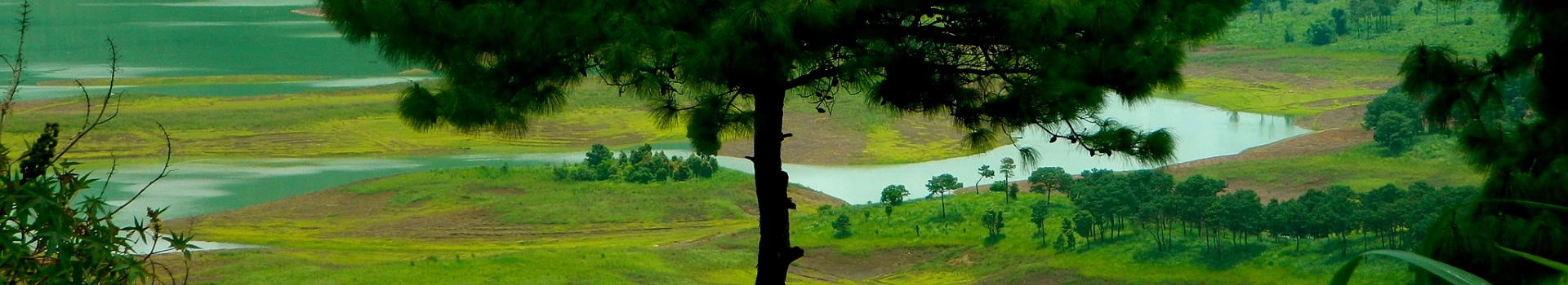 North East India Tour Packages